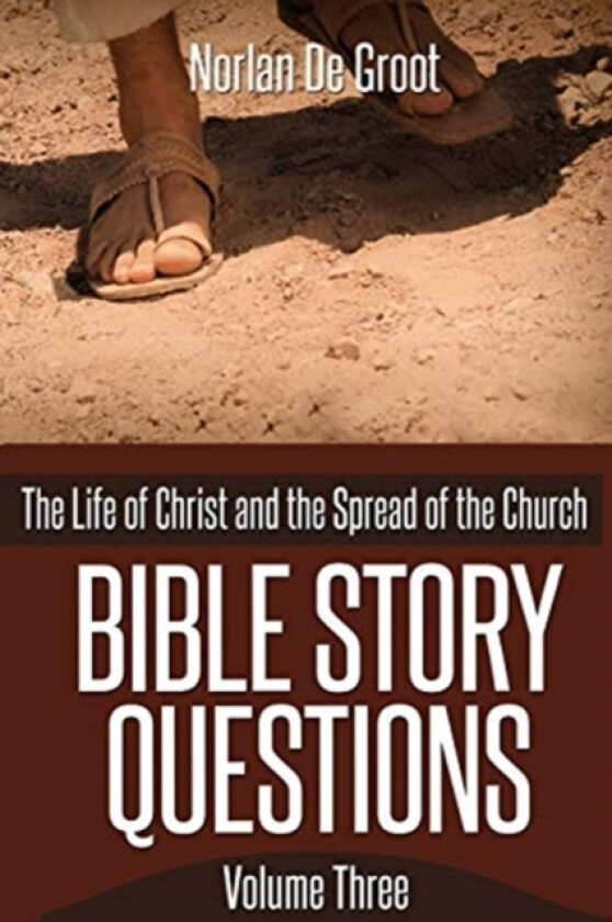 Bible Story Questions Volume Three av Norlan De Groot (Paperback)