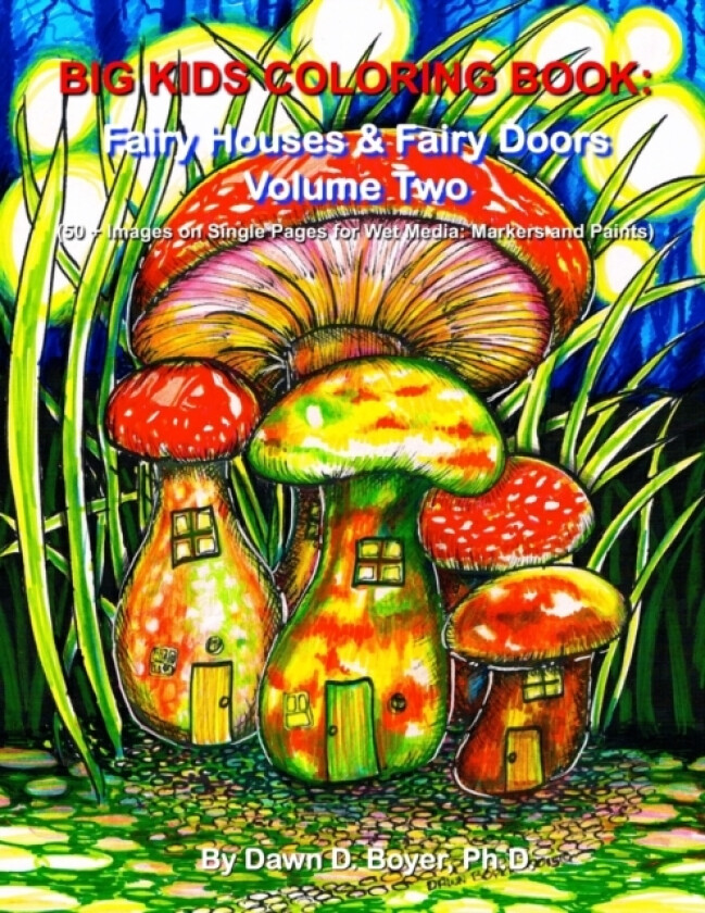 Big Kids Coloring Book av Dawn D PH D Boyer (Paperback)