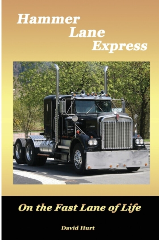 Hammer Lane Express av David B Hurt (Paperback)