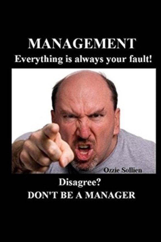Management. Everything is always your fault. av Ozzie Sollien (Paperback)