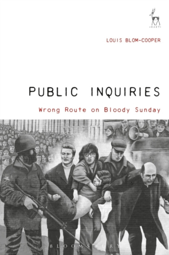 Public Inquiries av Sir Louis Blom-Cooper (Hardcover)