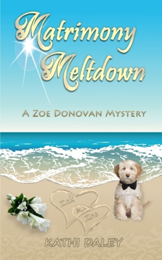 Matrimony Meltdown av Kathi Daley (Paperback)