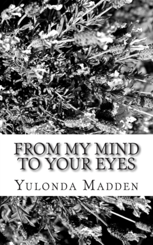 From My Mind To Your Eyes av Yulonda The Speaker Madden (Paperback)