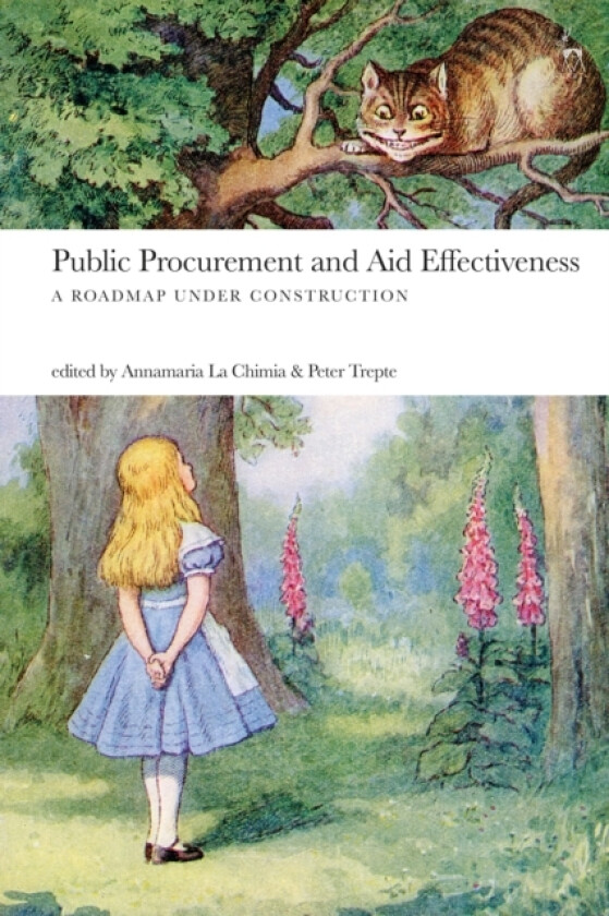 Public Procurement and Aid Effectiveness av Annamaria La Chimia, Dr Peter Trepte (Paperback)