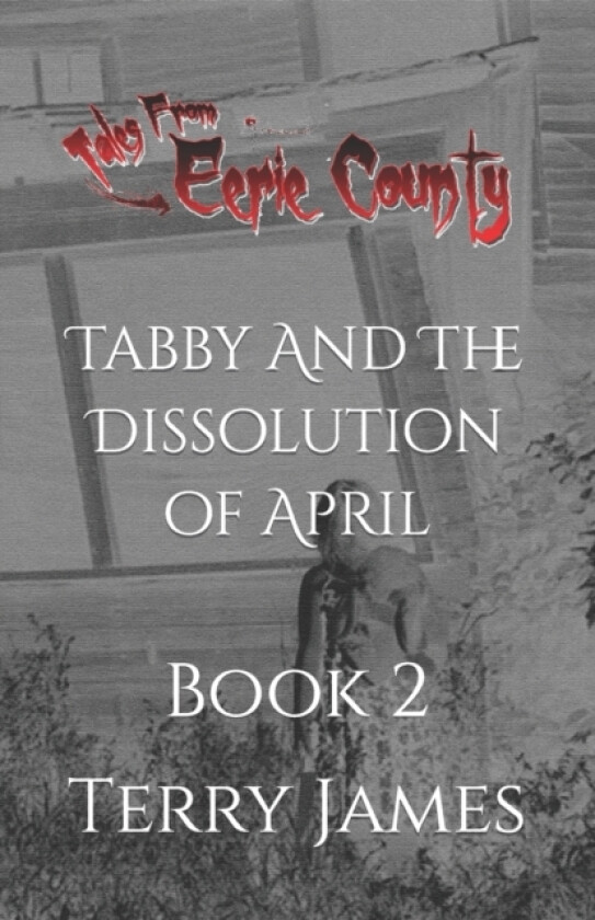 Tabby And The Dissolution of April av Terry James (Paperback)
