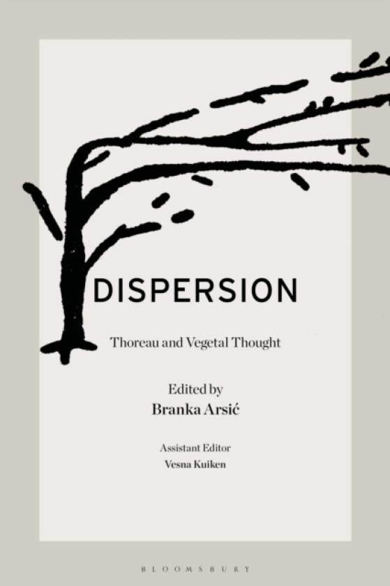 Dispersion av Professor Branka Arsic (Paperback)
