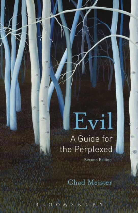 Evil: A Guide for the Perplexed av Professor Chad V. Meister (Hardcover)