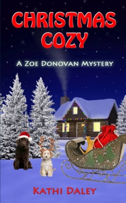 Christmas Cozy av Kathi Daley (Paperback)