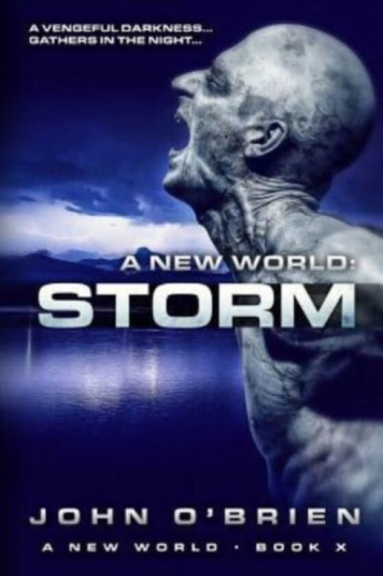 A New World av John O'Brien (Paperback)