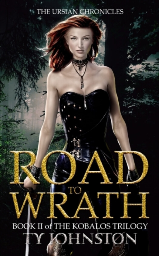 Road to Wrath av Ty Johnston (Paperback)
