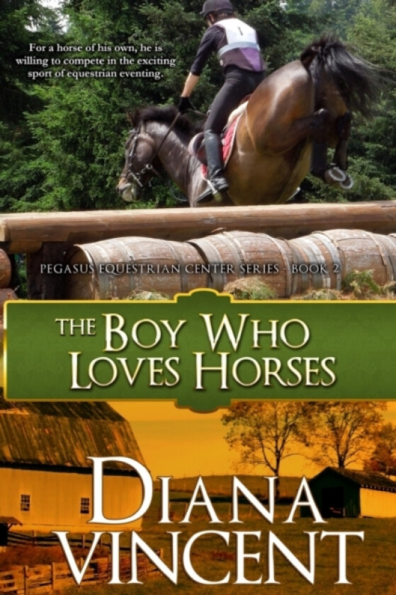 The Boy Who Loves Horses av Diana Vincent (Paperback)