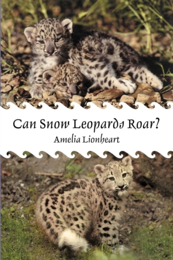 Can Snow Leopards Roar? av Amelia Lionheart (Paperback)