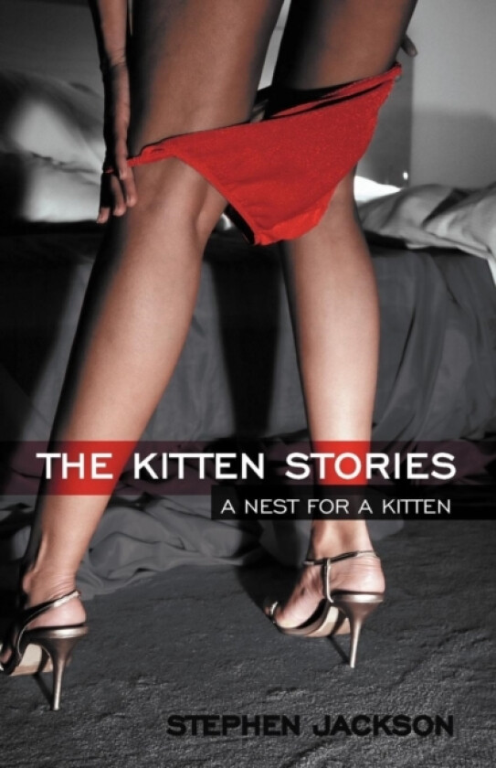 The Kitten Stories av Stephen MD Jackson (Paperback)