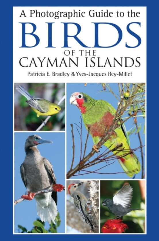 A Photographic Guide to the Birds of the Cayman Islands av Patricia E. Bradley, Yves-Jacques Rey-Millet (Paperback)