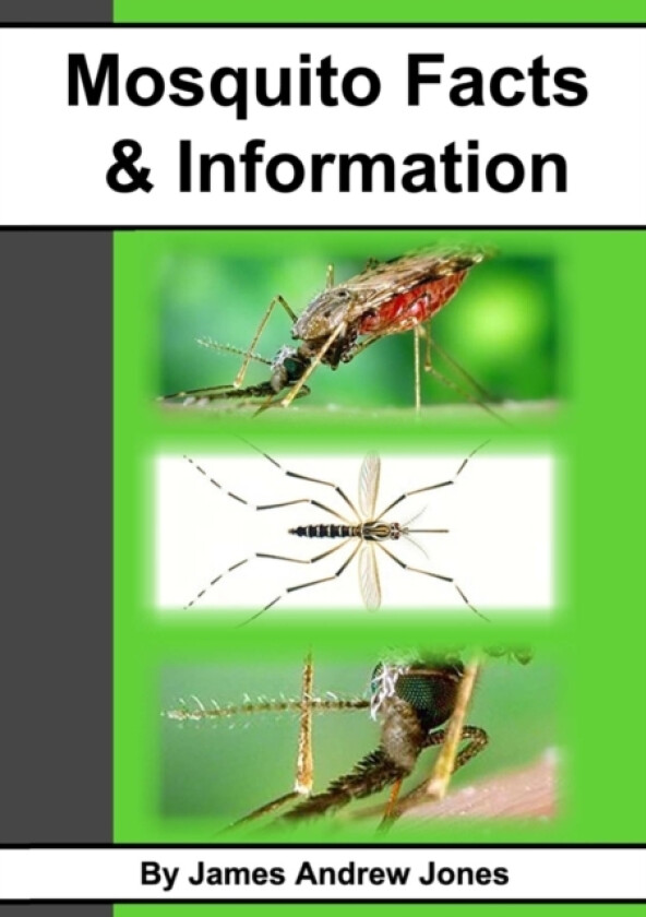 Mosquito Facts & Information av James Andrew Jones (Paperback)