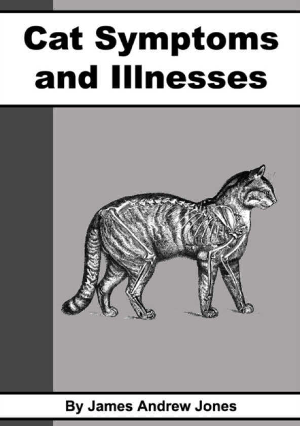Cat Symptoms & Illnesses av James Andres Jones (Paperback)