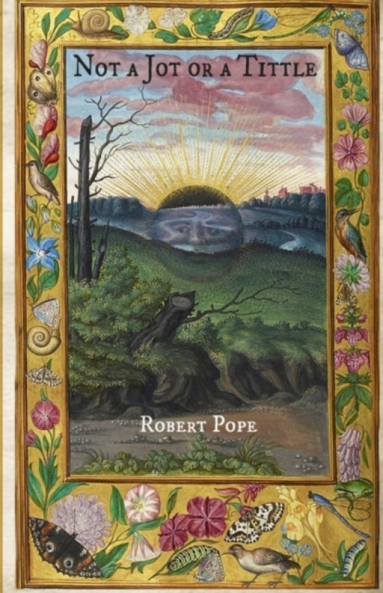 Not A Jot or A Tittle av Robert Pope (Paperback)