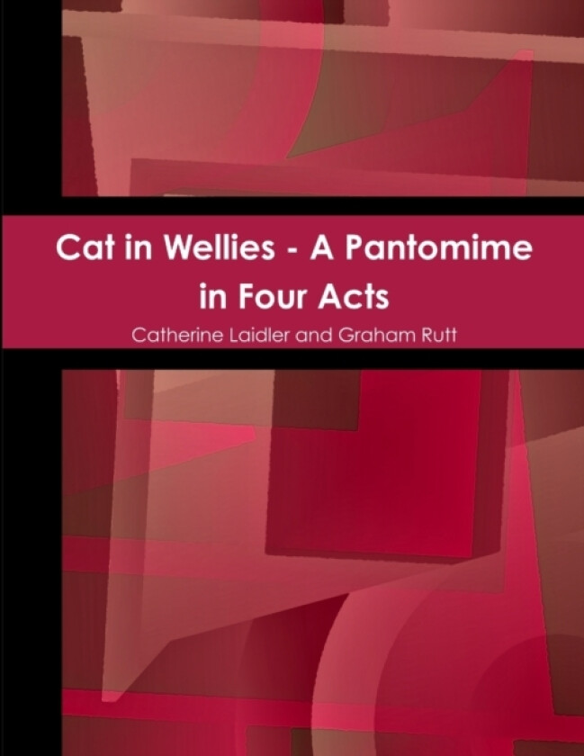 Cat in Wellies av Graham Rutt, Catherine Laidler (Paperback)