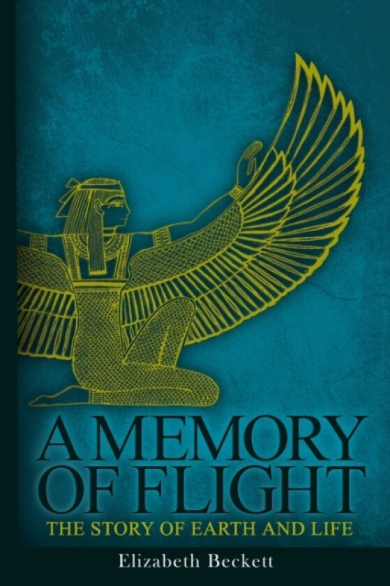 A Memory of Flight av Elizabeth Beckett (Paperback)