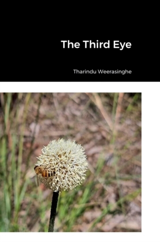 The Third Eye av Tharindu Weerasinghe (Hardcover)
