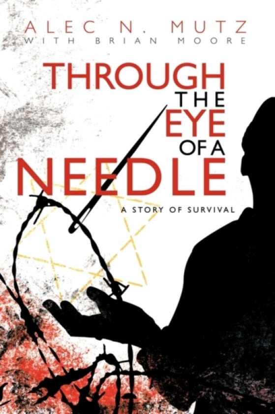 Through the Eye of a Needle av Alec N Mutz, Brian Moore (Paperback)