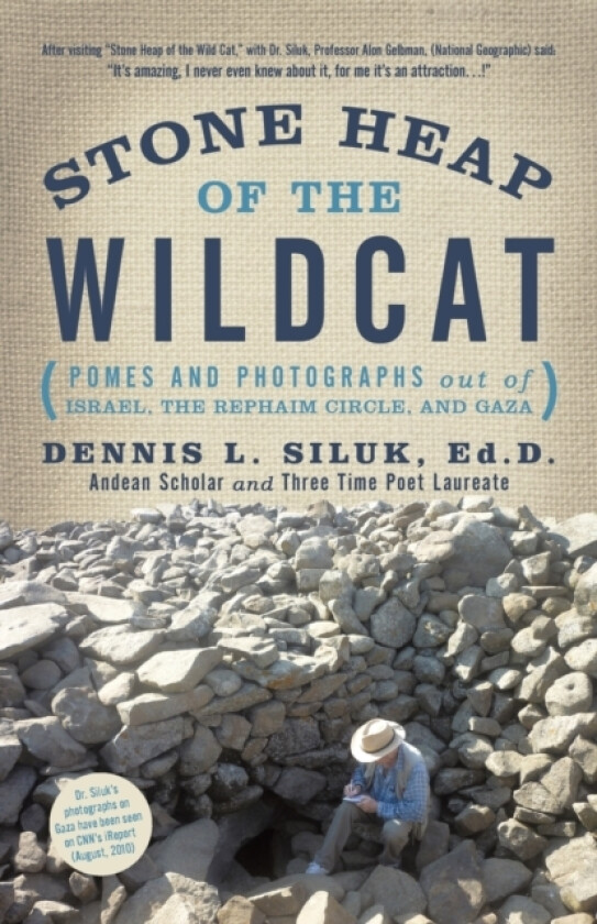 Stone Heap of the Wildcat av Dennis L Siluk Ed D (Paperback)