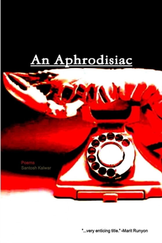 An Aphrodisiac av Santosh Kalwar (Paperback)