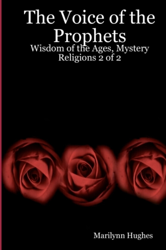 The Voice Of The Prophets av Marilynn Hughes (Paperback)