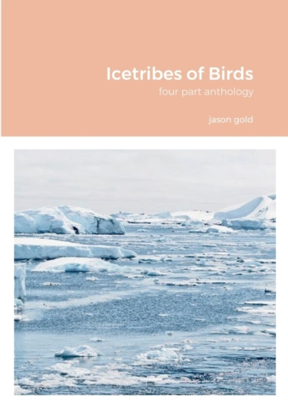 Icetribes of Birds av Jason Gold (Paperback)