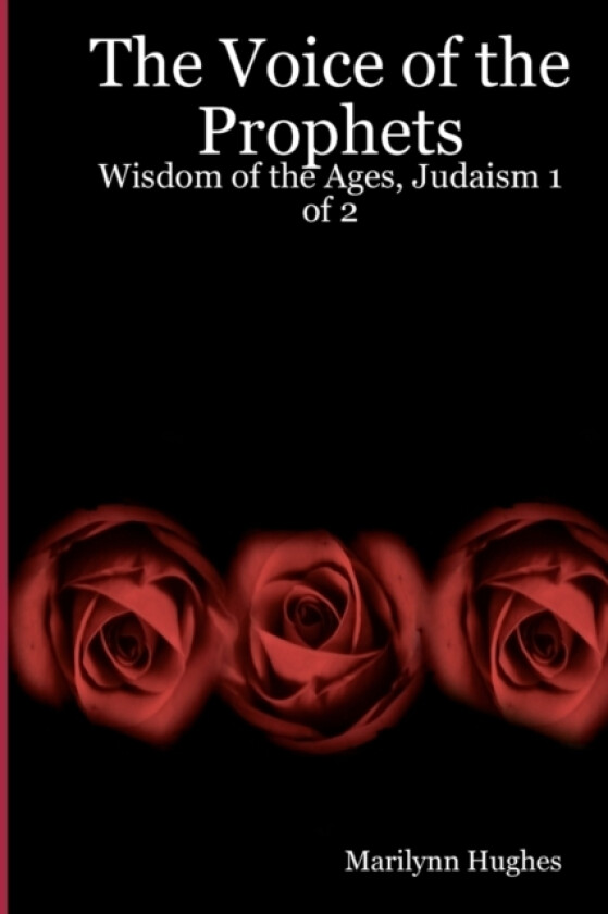 The Voice Of The Prophets av Marilynn Hughes (Paperback)