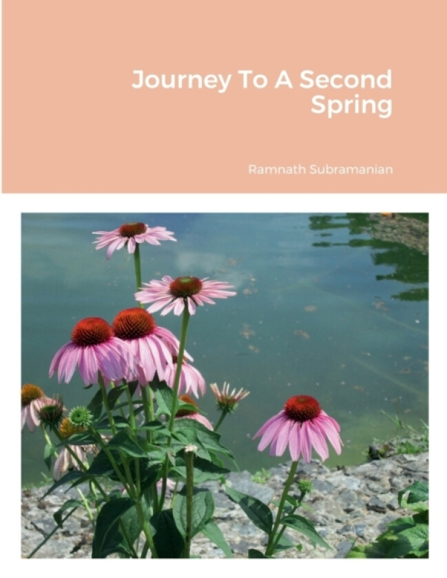 Journey To A Second Spring av Ramnath Subramanian (Paperback)