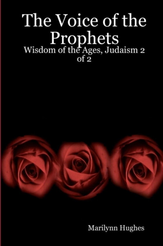 The Voice Of The Prophets av Marilynn Hughes (Paperback)