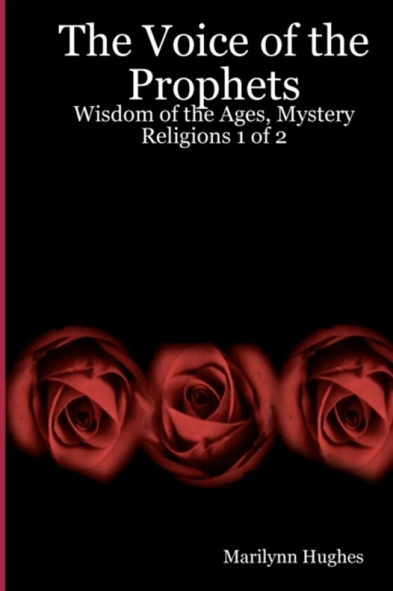 The Voice Of The Prophets av Marilynn Hughes (Paperback)