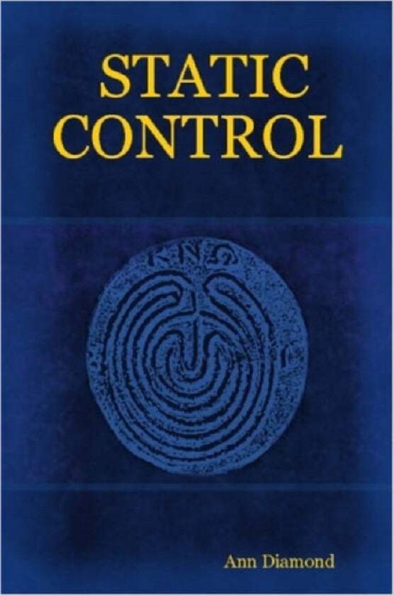 Static Control av Ann Diamond (Paperback)