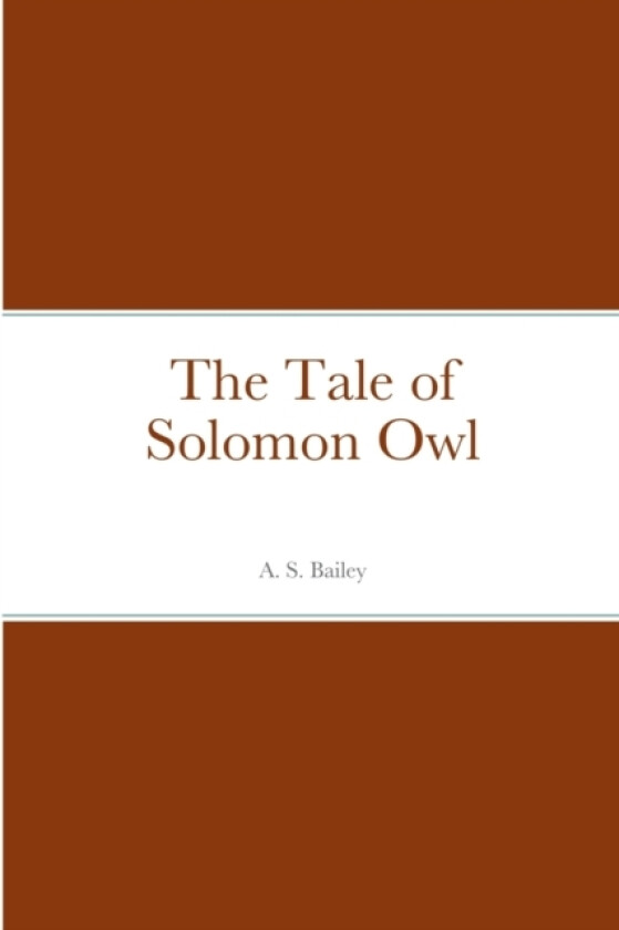 The Tale of Solomon Owl av A S Bailey (Paperback)