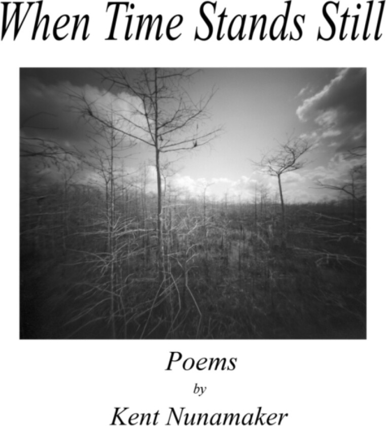 When Time Stands Still av Kent Nunamaker (Paperback)