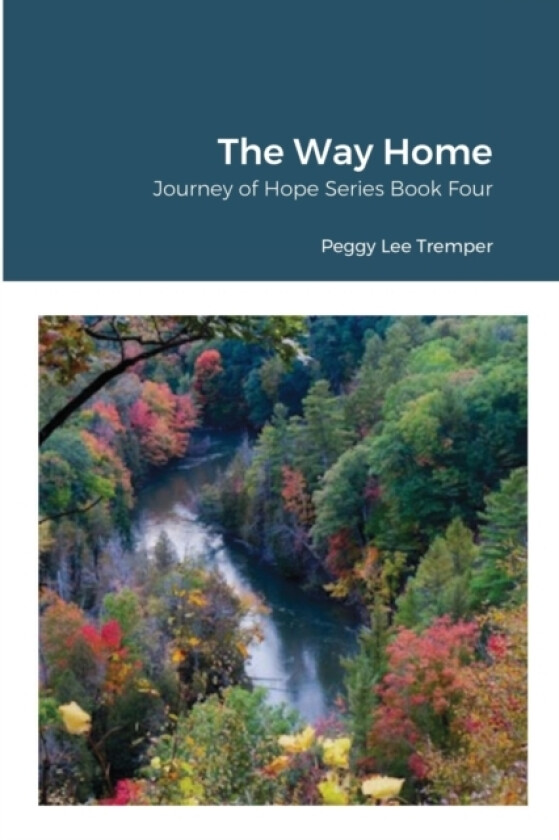The Way Home av Peggy Lee Tremper (Paperback)