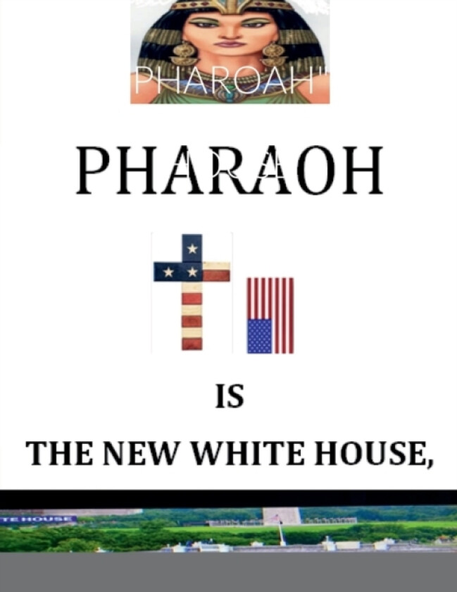 'Pharoah' Is the New White House av Nelson Norman (Paperback)