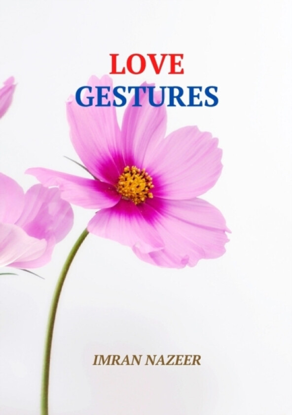 Love Gestures av Imran Nazeer (Paperback)