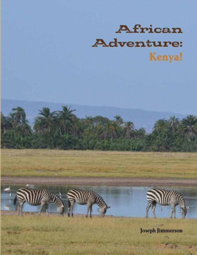 African Adventure av Joseph Jimmerson (Paperback)