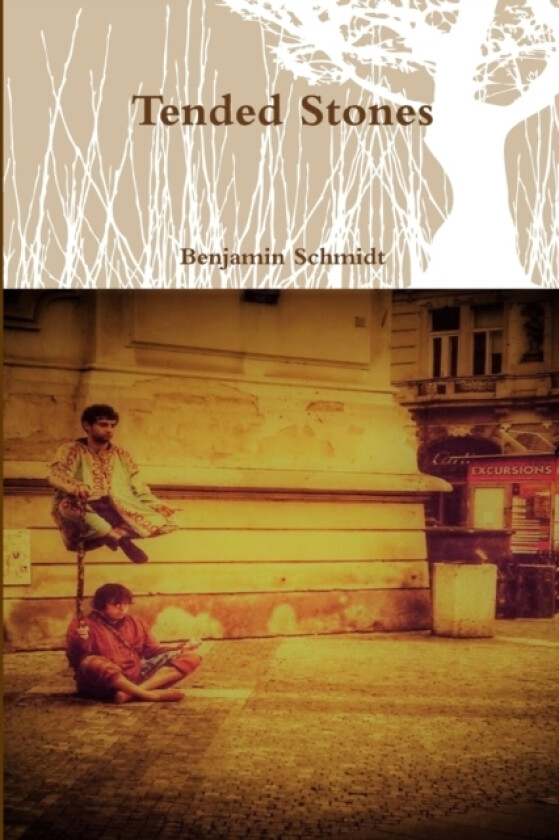 Tended Stones av Benjamin Schmidt (Paperback)