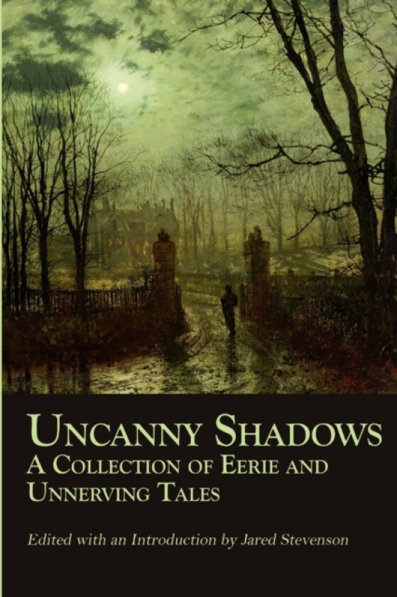 Uncanny Shadows av Jared Stevenson (Paperback)