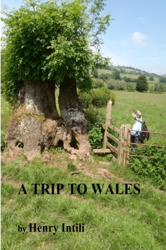 A Trip to Wales 2018 av Henry Intili (Paperback)