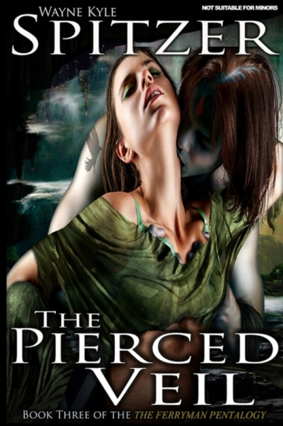 The Pierced Veil av Wayne Kyle Spitzer (Paperback)