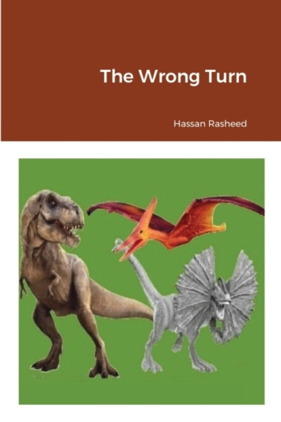 The Wrong Turn av Hassan Rasheed (Paperback)