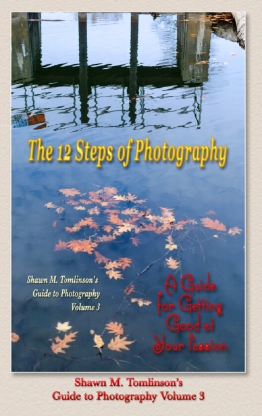 Vol. 03 av Shawn M Tomlinson (Hardcover)