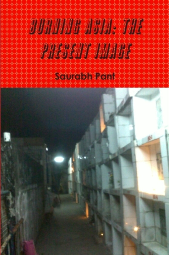 Burning Asia av Saurabh Pant (Paperback)