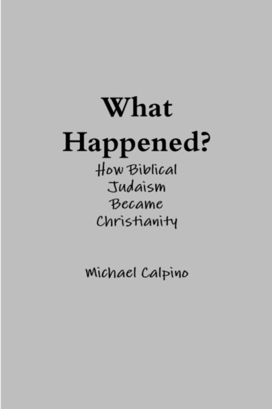 What Happened? av Michael Calpino (Paperback)