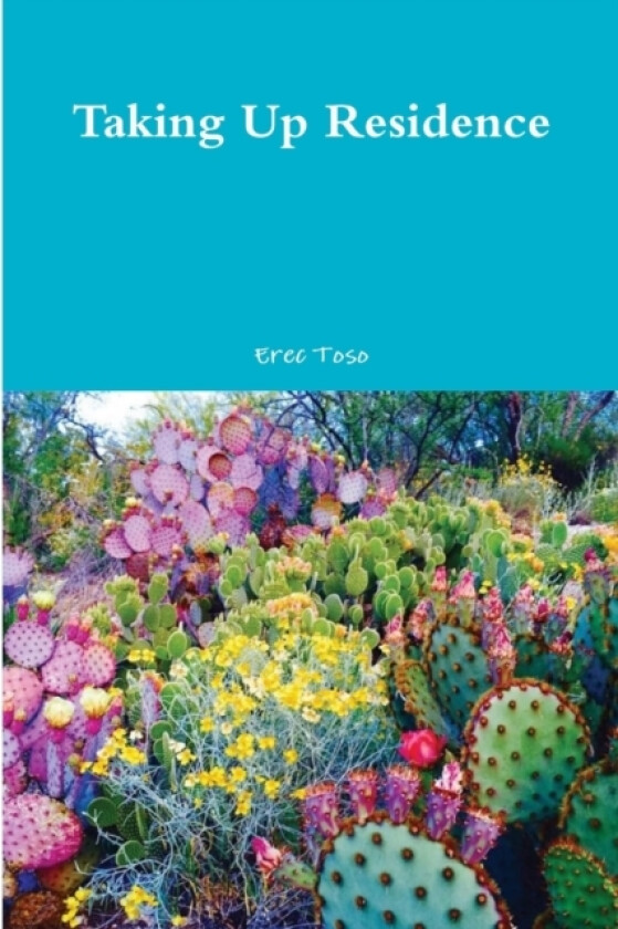 Taking Up Residence av Erec Toso (Paperback)