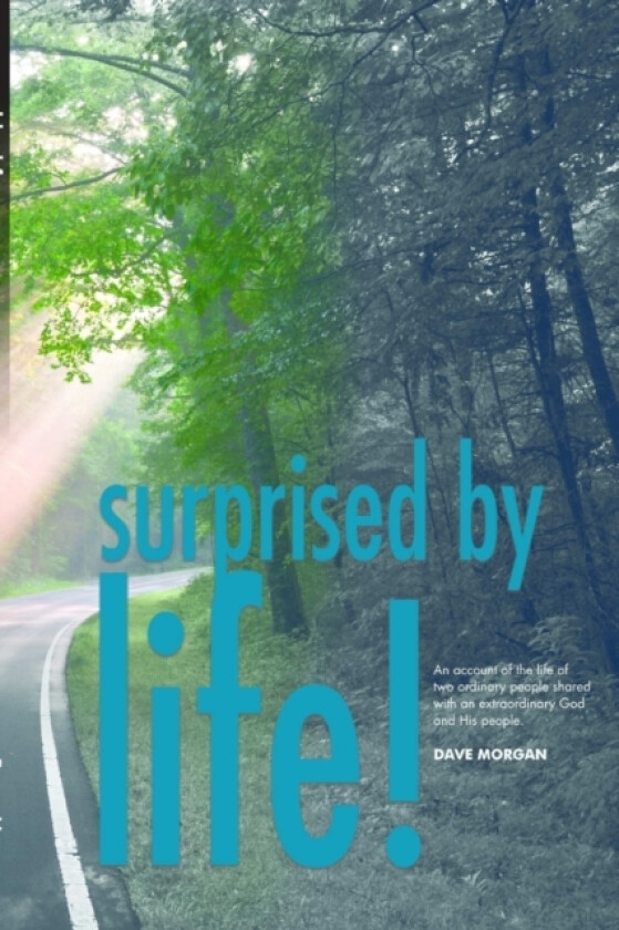 Surprised By Life av Dave Morgan (Paperback)